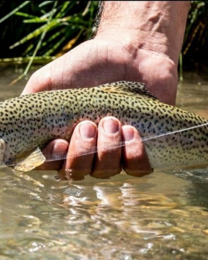 Estância Rancho E´Cuero