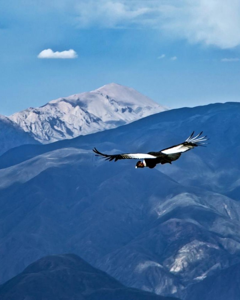 Cavalgada Quebrada del Cóndor