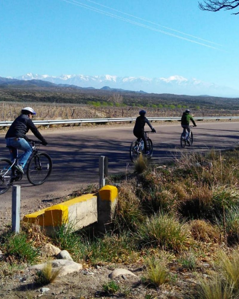 Bike e Vinho Vale de Uco