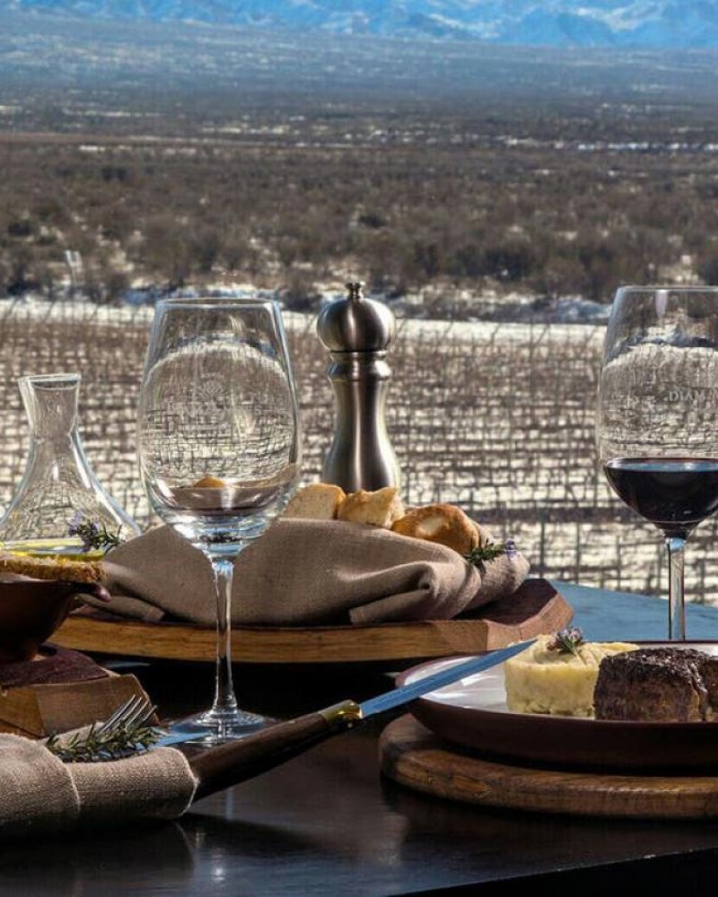 Bike e Vinho Vale de Uco