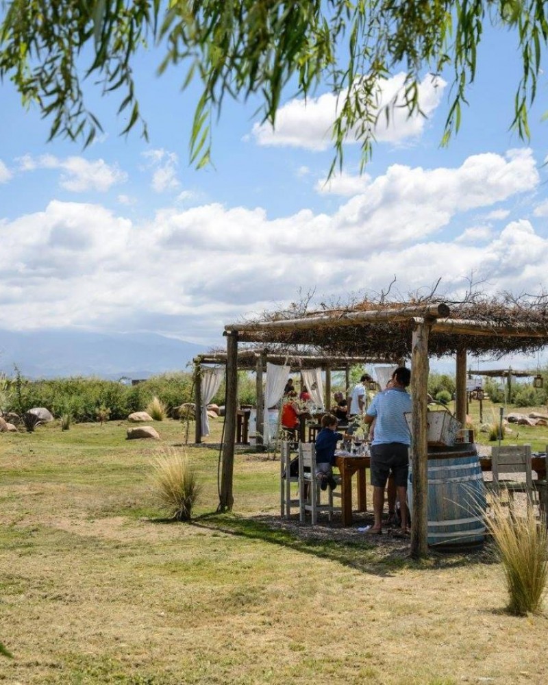 Bike e Vinho Vale de Uco
