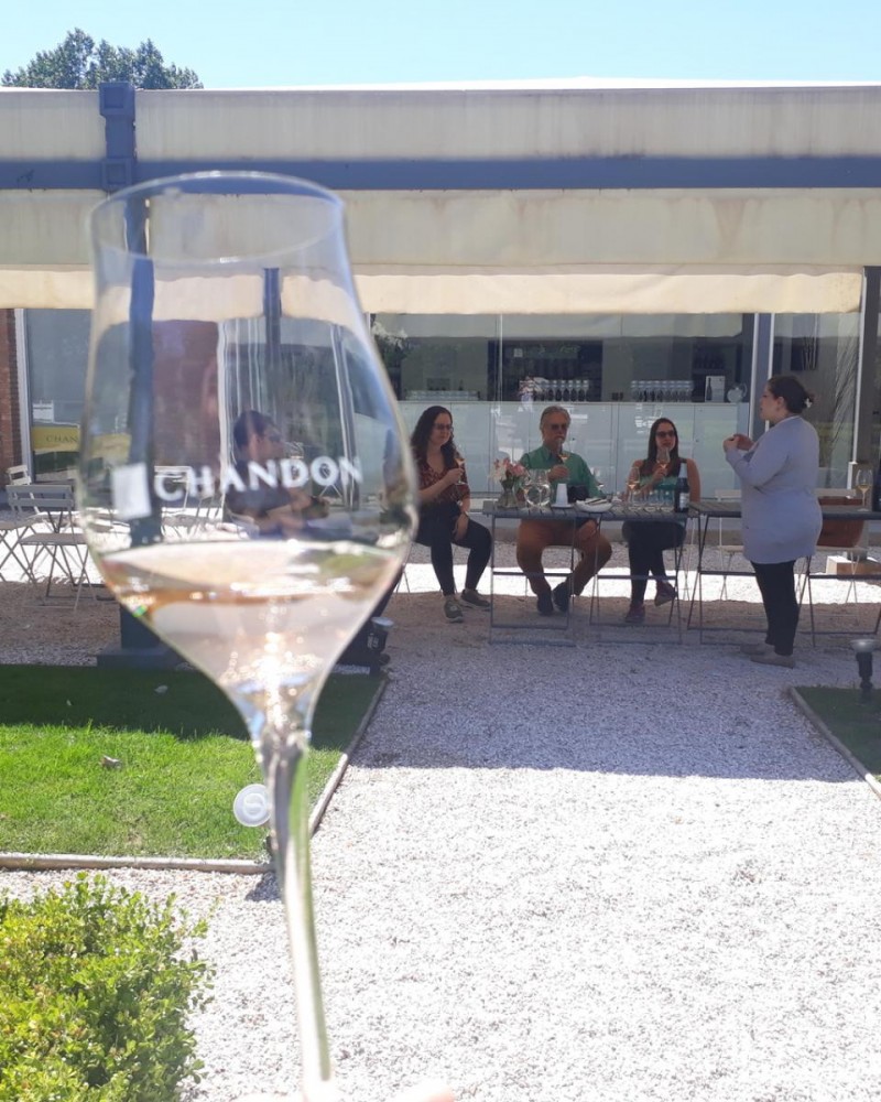 Chandon, Ruca Malén + Olivícola