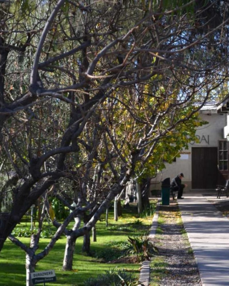 Chandon, Ruca Malén + Olivícola