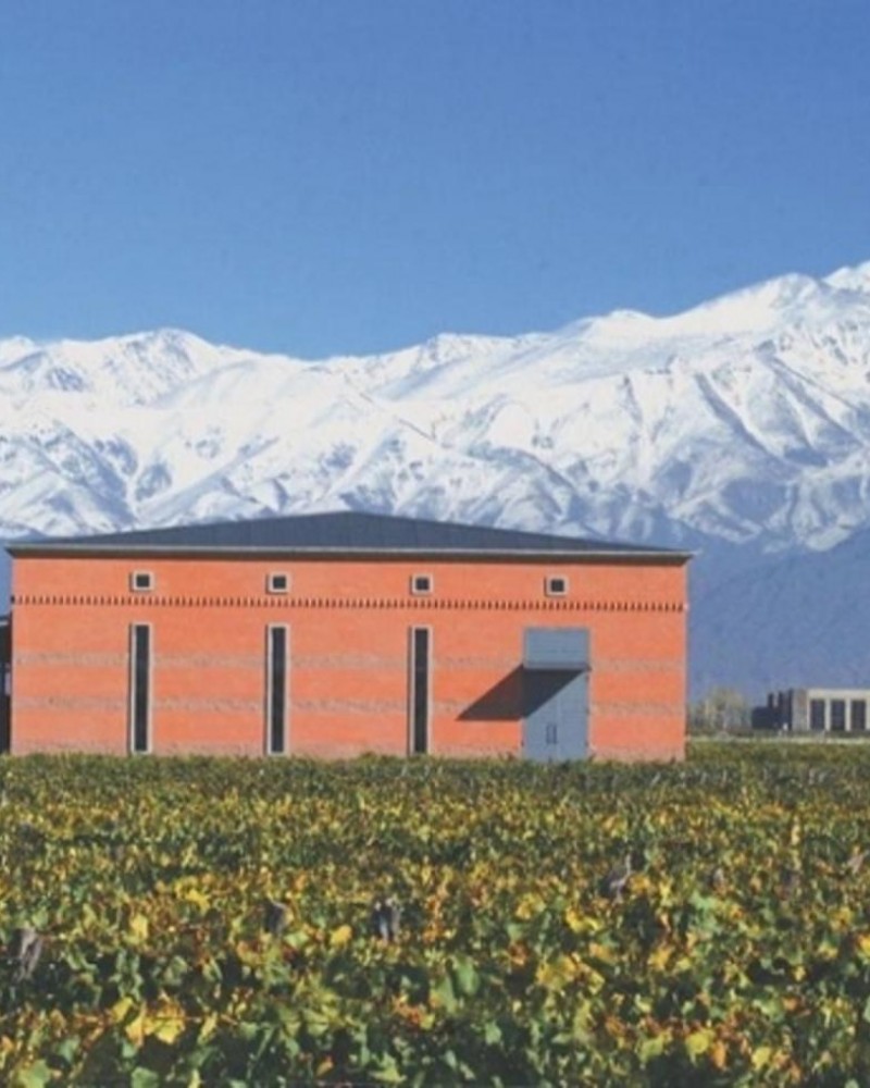 Chandon, Ruca Malén + Olivícola