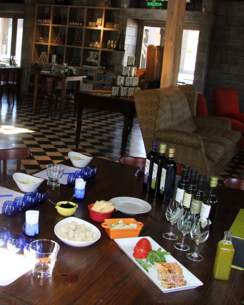 Experiência Zuccardi Santa Julia