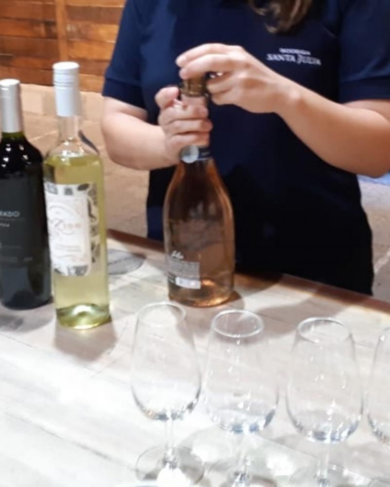 Experiência Zuccardi Santa Julia