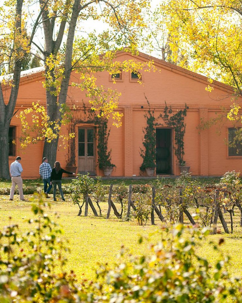 Bike e Vinho Luján de Cuyo