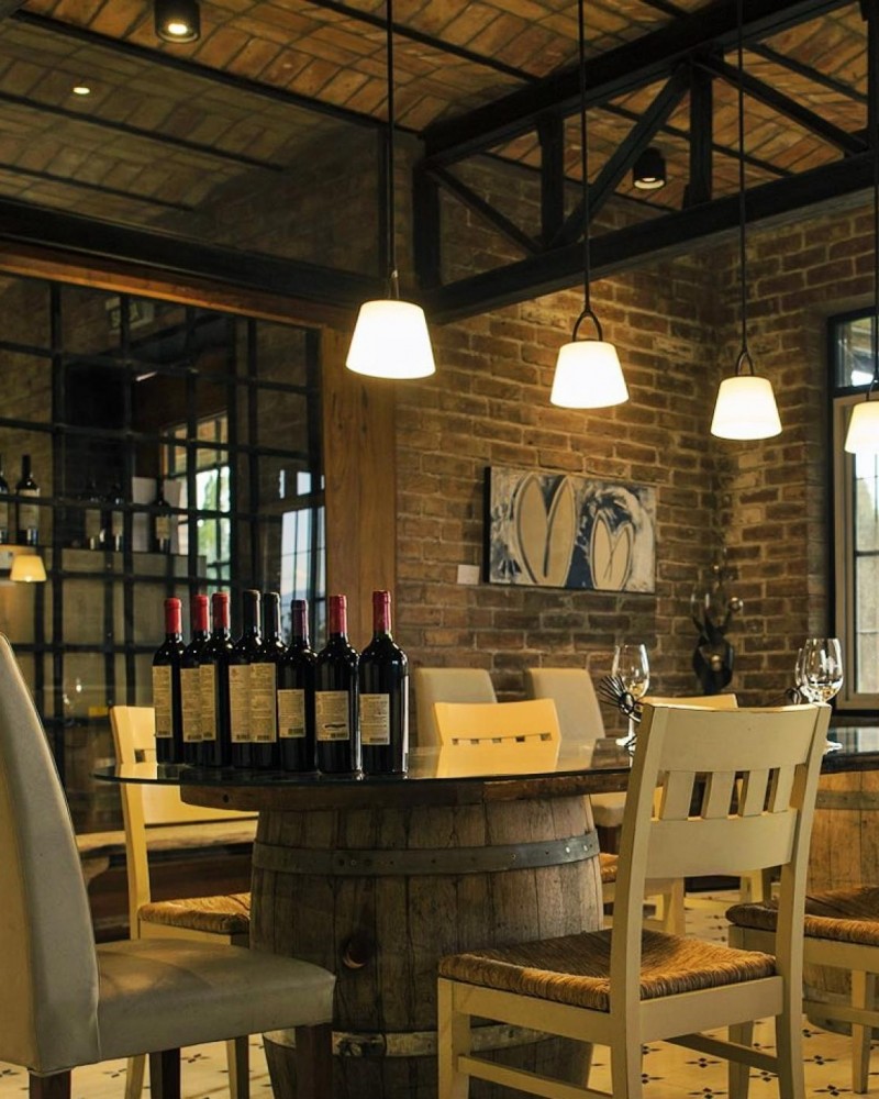 Bike e Vinho Luján de Cuyo