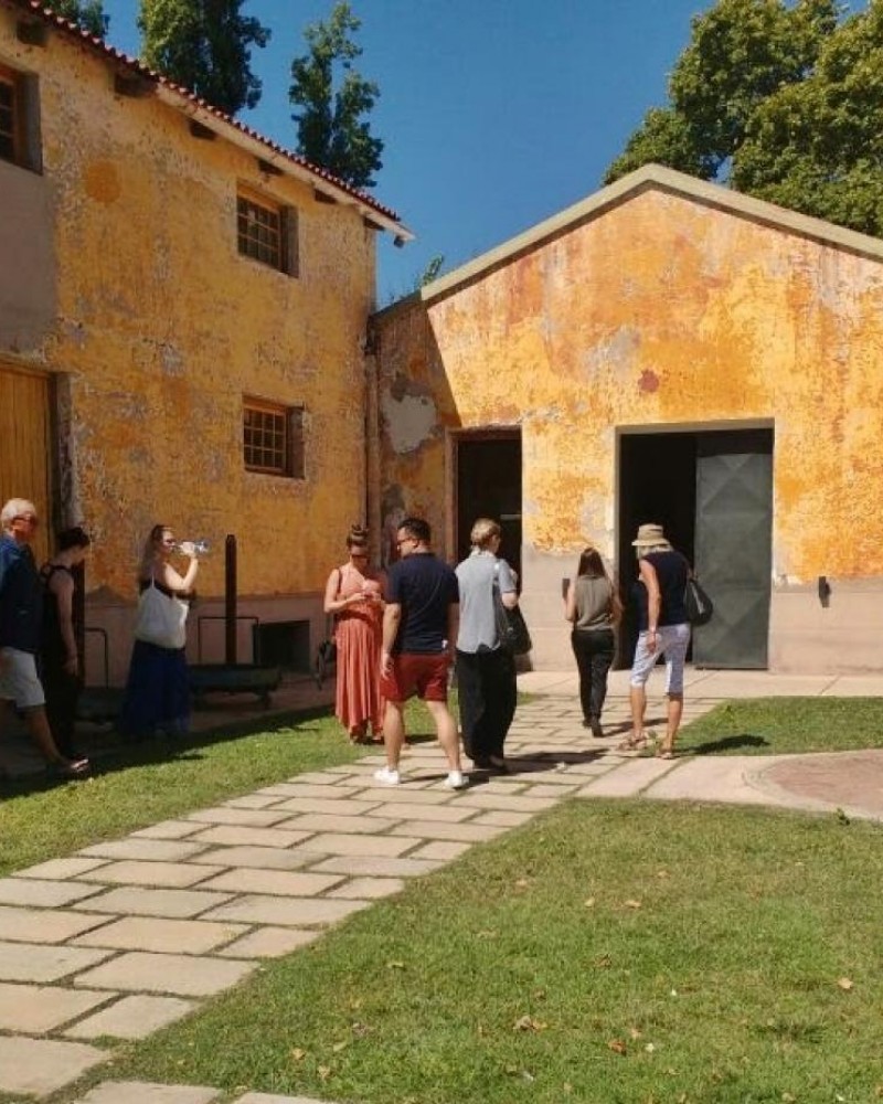 Azeite, Queijo & Vinhos