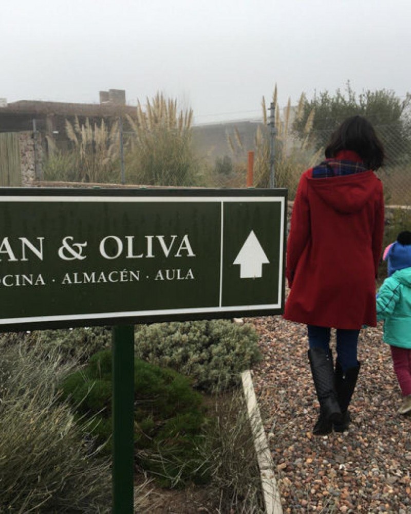 Azeite, Queijo & Vinhos