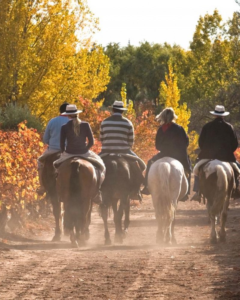Cavalgada Pôr-do-Sol
