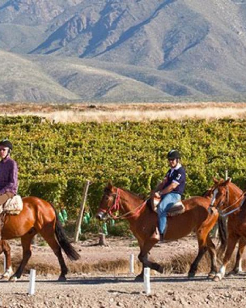 Cavalgada Pôr-do-Sol