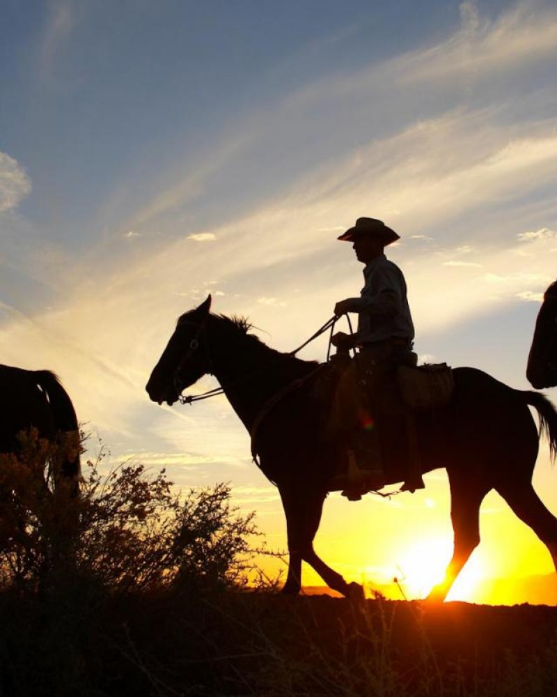 Cavalgada Pôr-do-Sol