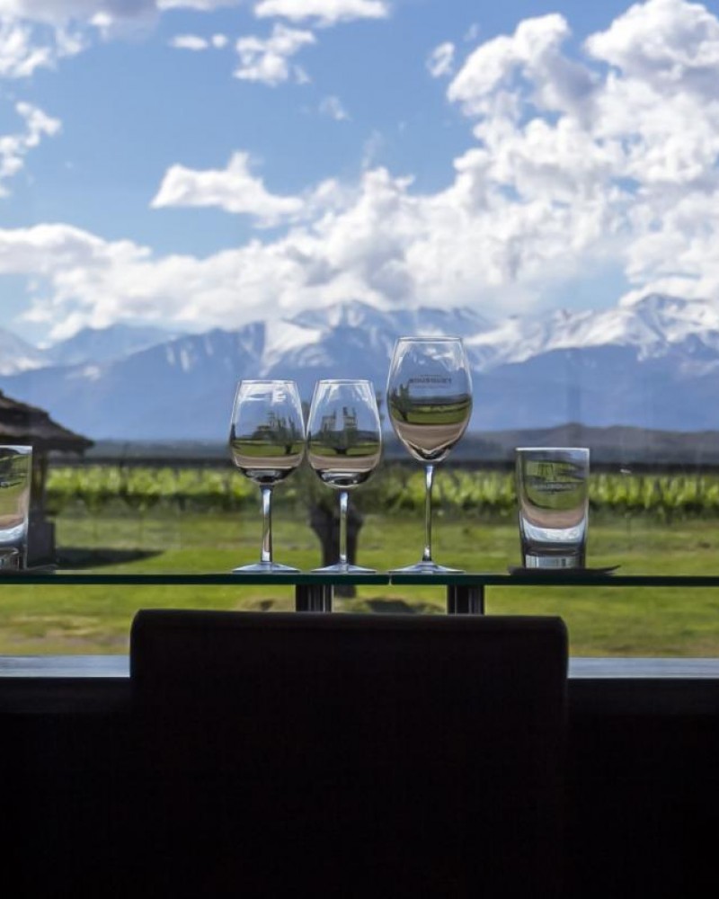 Experiência Valle de Uco