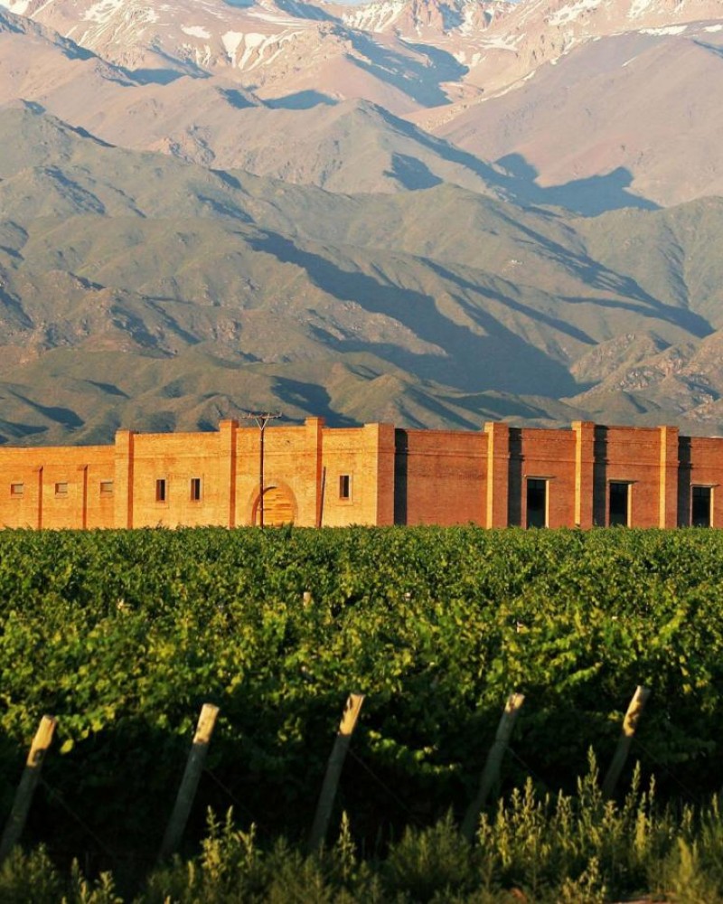 Experiência Valle de Uco