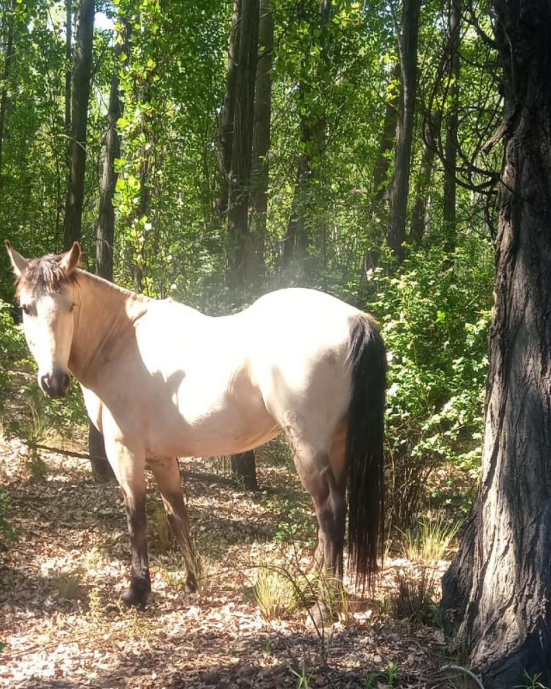Estância Família Rosso