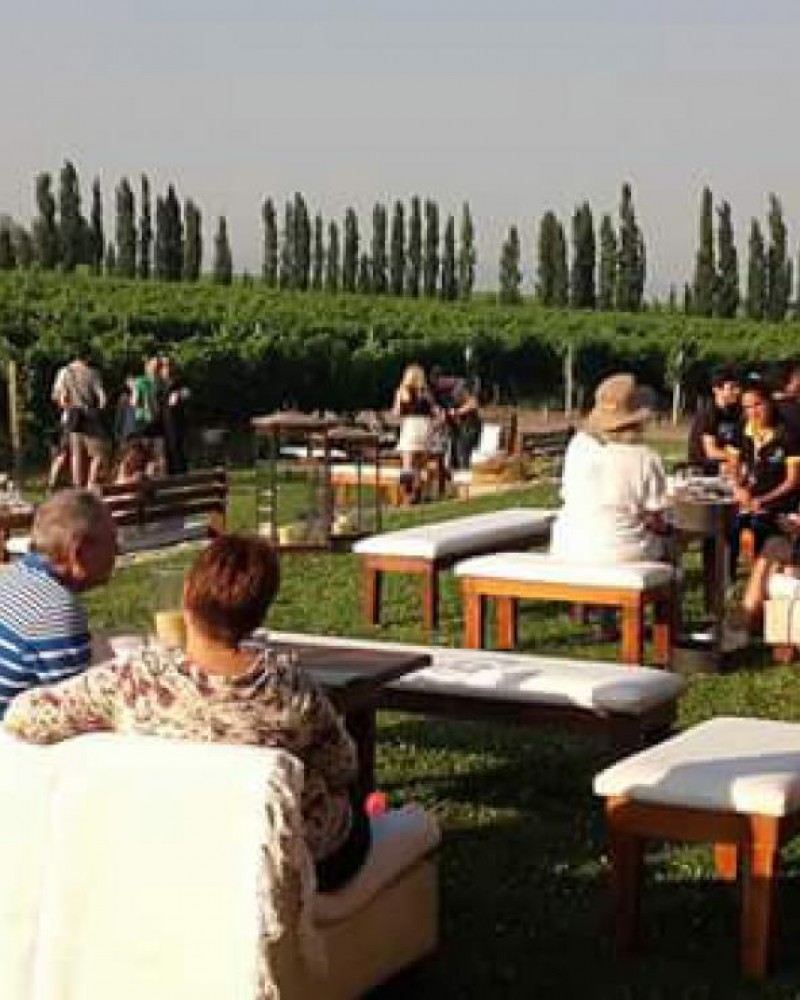 Tour de Vinhos personalizado