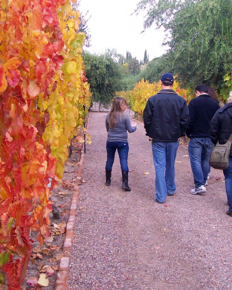 Maipú e Luján Gourmet
