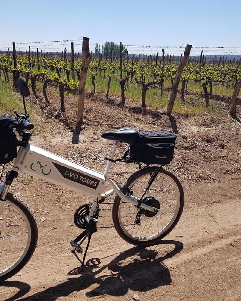 E-bike e Vinhos