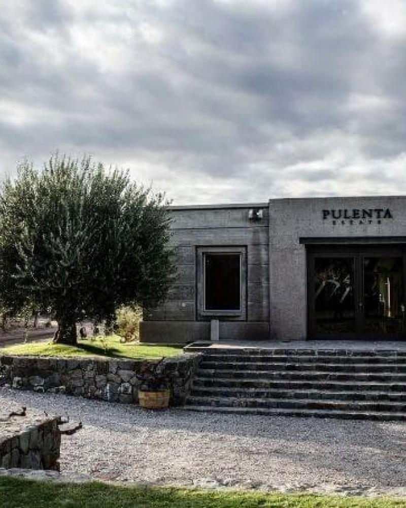 Provando os Sentidos