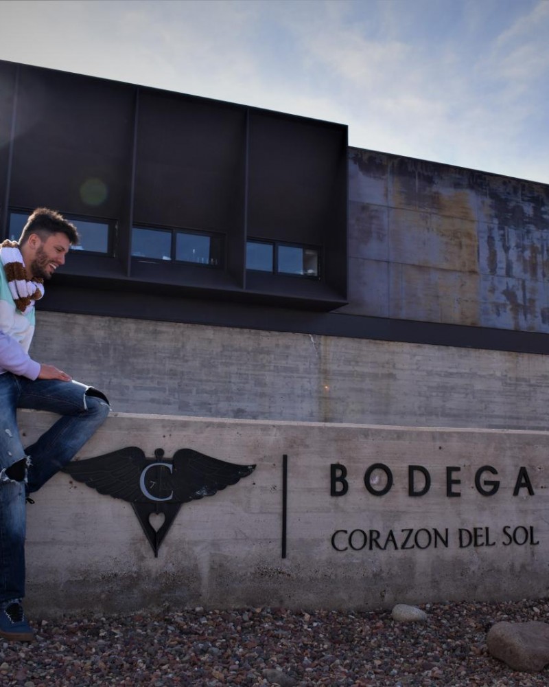 Experiência The Vines