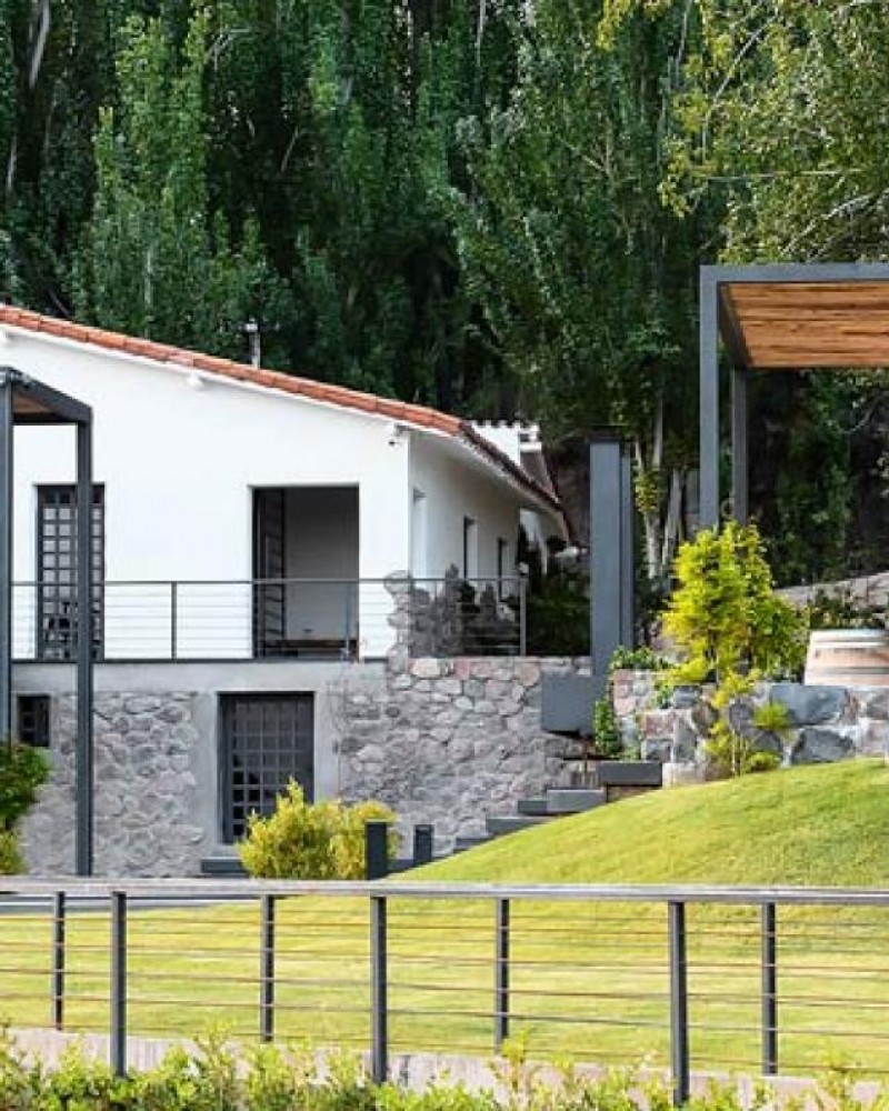 Pedaleando entre vinhedos