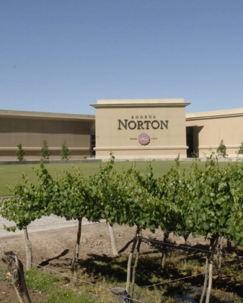 Pedaleando entre vinhedos