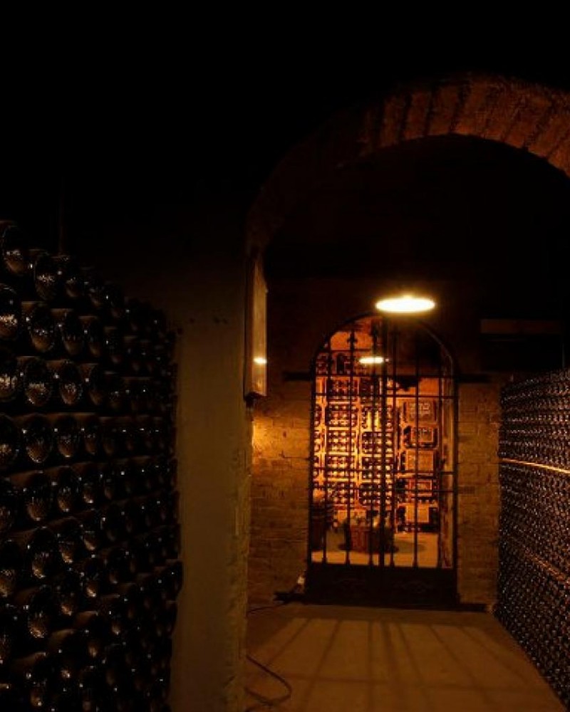 Pedaleando entre vinhedos