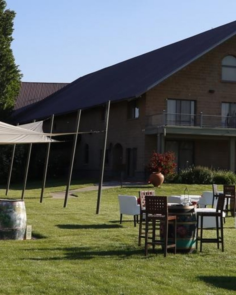 Pedaleando entre vinhedos