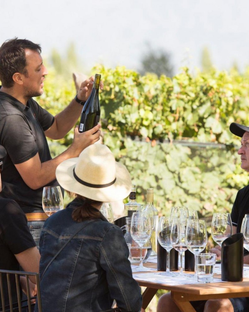 Sabores com Estrelas – Especial Michelin