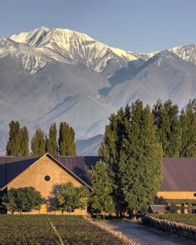 Sabores com Estrelas – Especial Michelin