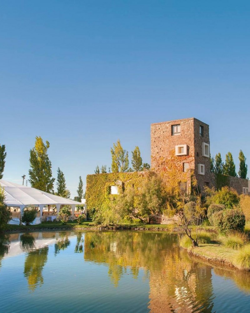 Sabores com Estrelas – Especial Michelin