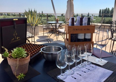 Enólogo por um día