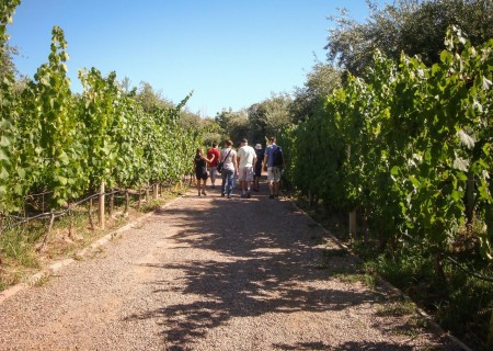 Maipú & Luján: legado familiar