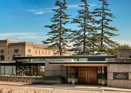 City Tour e Vinícola