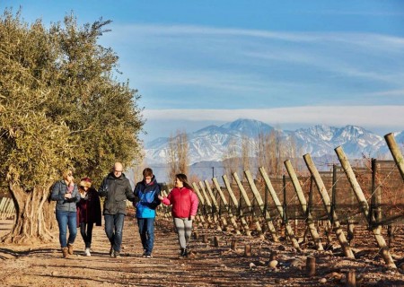 Brincando em Familia