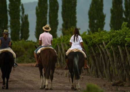 Cavalgada Pôr-do-Sol