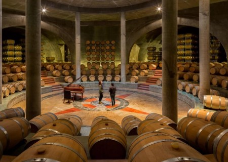 Experiência Valle de Uco