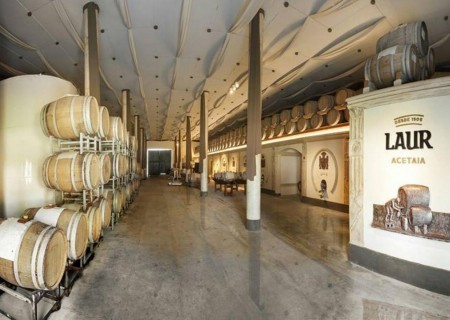 Azeite, Queijo & Vinhos