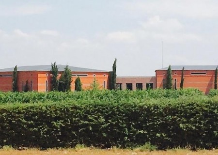 Chandon, Ruca Malén + Olivícola