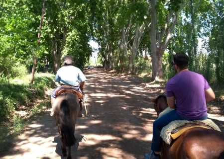 Cavalgando por Vinícolas