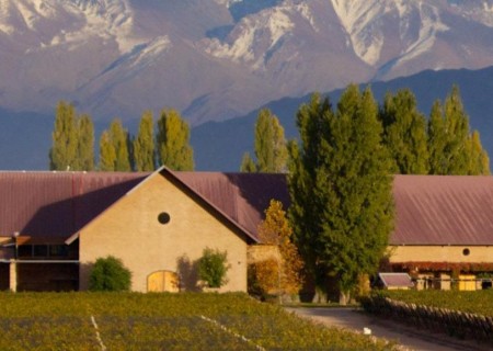  Luján de Cuyo Malbec