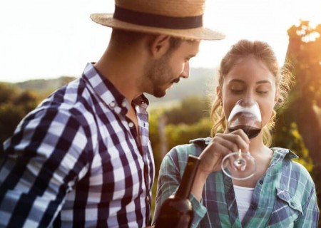 Tour de vinho de meio dia