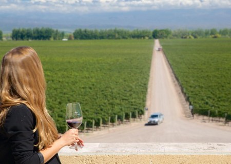 Catena Zapata & El Enemigo