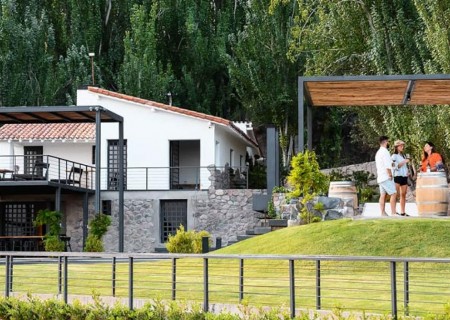 Pedaleando entre vinhedos