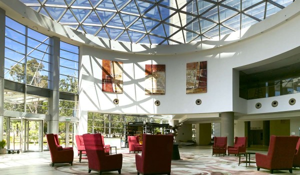 Hilton Mendoza