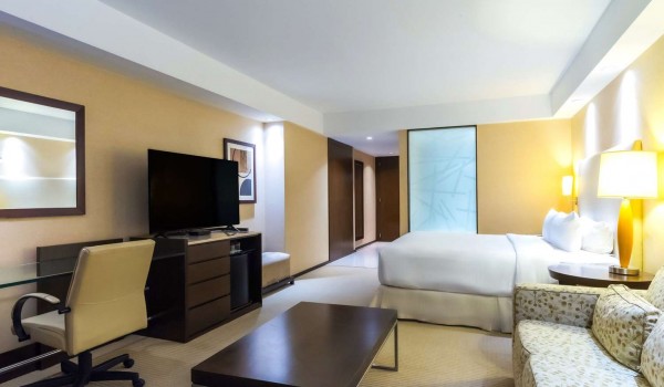 Hilton Mendoza