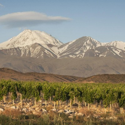 PASSEIOS PANORÁMICOS