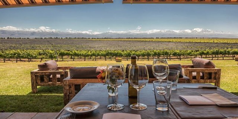 Tour de Vinhos Full Day pelo Valle de Uco