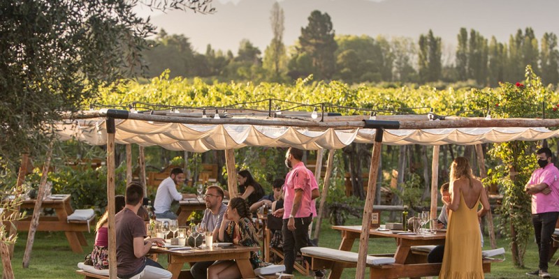 Mendoza Essencial & Gourmet: City Tour Privativo com Almoço ou Jantar em Vinícola